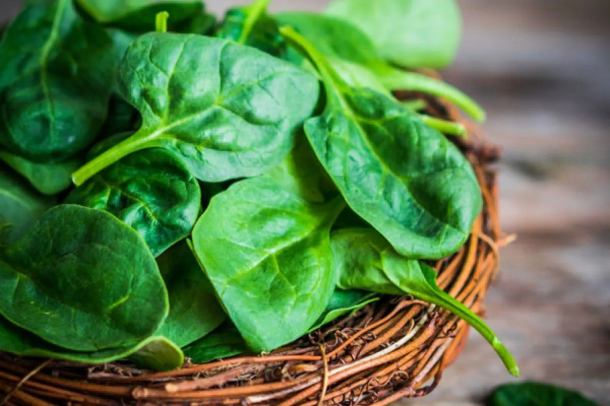 Ini Nih!! Sayurang Yang Tidak Boleh Dimakan Penderita Asam Urat