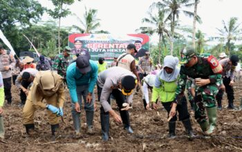 Forkopimda Banyuwangi Tanam Ratusan Hektar Jagung