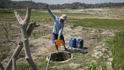 Prediksi BMKG Banyuwangi Masuki Musim Kemarau Pada Pertengahan April 2025